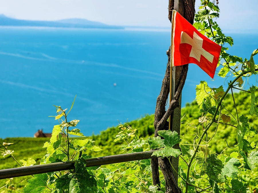Swiss flag on Vineyard Terraces hiking trail of Lavaux, Lake Geneva and Swiss mountains, Lavaux-Oron district of Switzerland