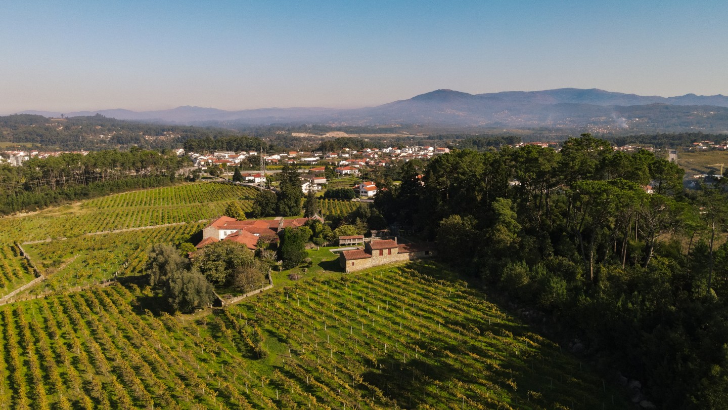 Symington launches first Vinho Verde wine